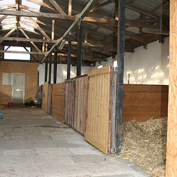 Box ohne Paddock Box ohne Paddock