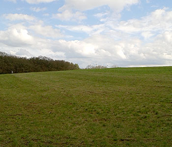 Große Wiese in der Umgebung